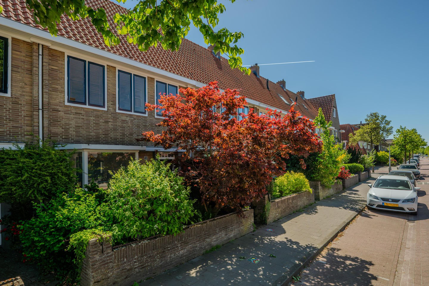 Photo 59 of Alard du Hamelstraat 41