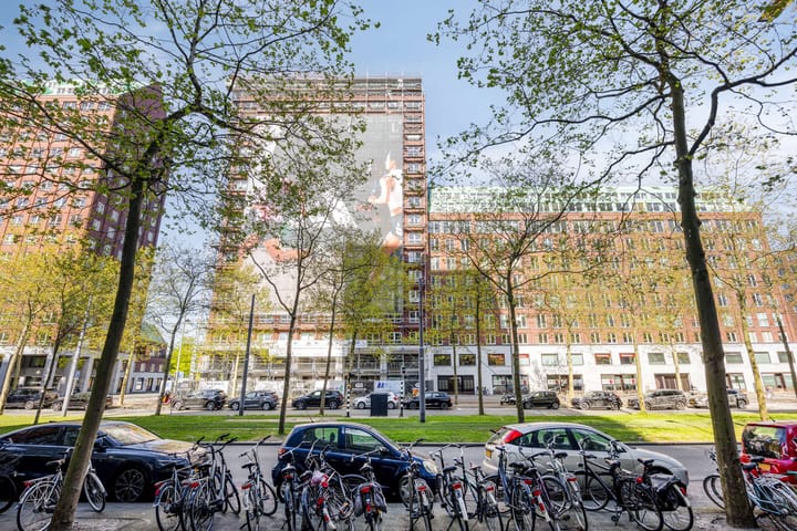 Foto 5 van Laan op Zuid 214