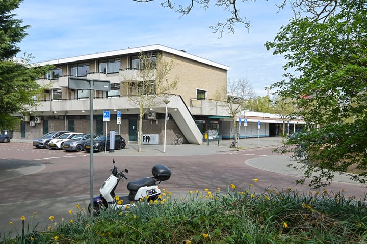 Foto 2 van Theo Mann-Bouwmeesterlaan 49