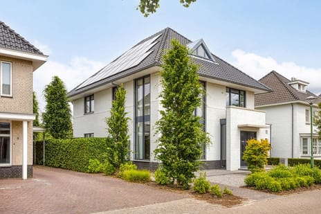 Koningsveld thumbnail