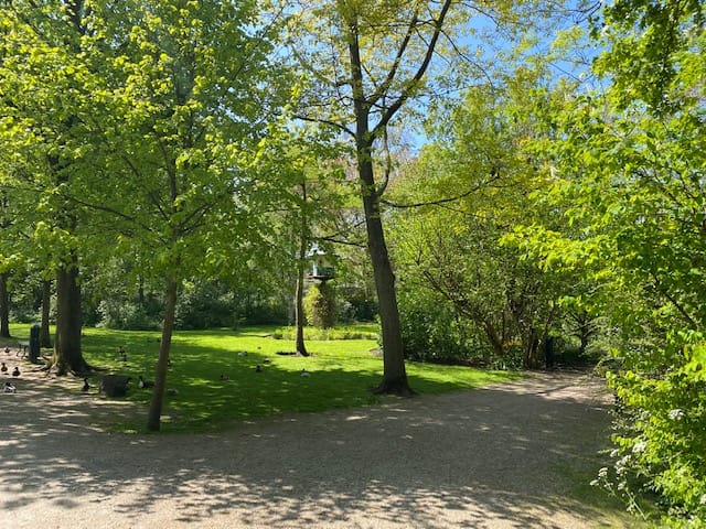 Photo 31 of Zaanweg 8