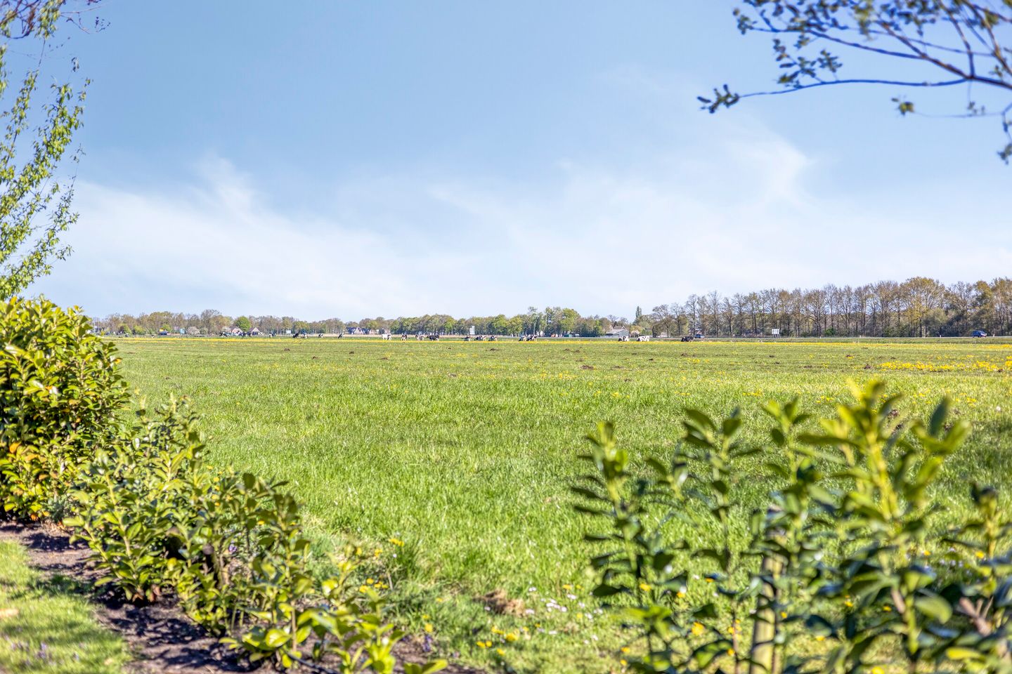 Photo 64 of Dedemsvaartseweg-Noord 114
