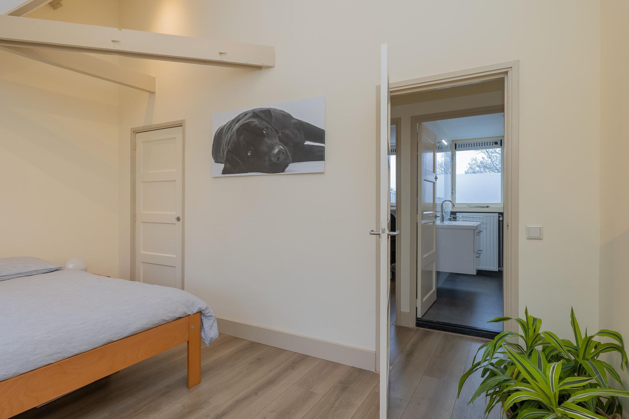 Photo 24 of Flevoplein 15