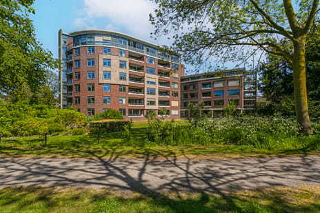Hendrika van Tussenbroeklaan thumbnail