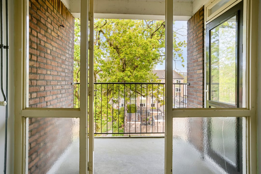 Spacious 3-room apartment with 2 balconies in wooded surroundings — 23