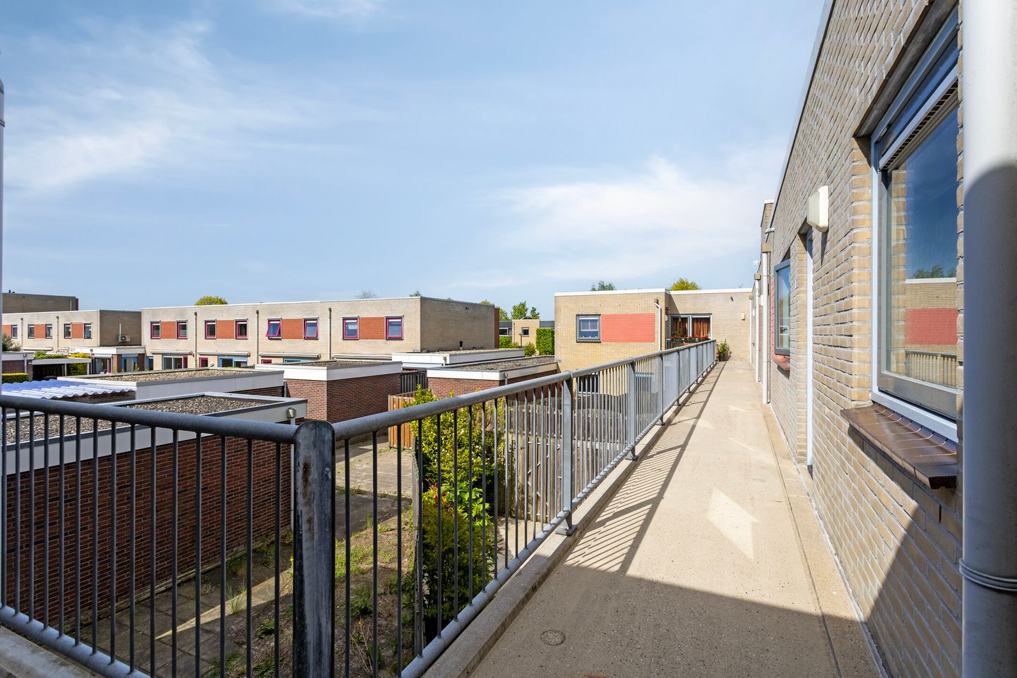 Photo 5 of Galjoen 5