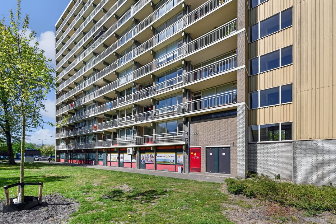 Foto 41 van Dunantstraat 875