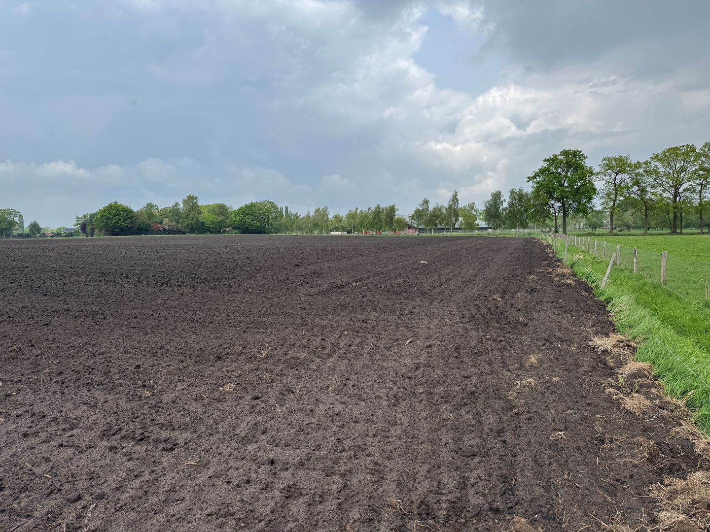 Laarweg - Harskamp - Afbeelding 1