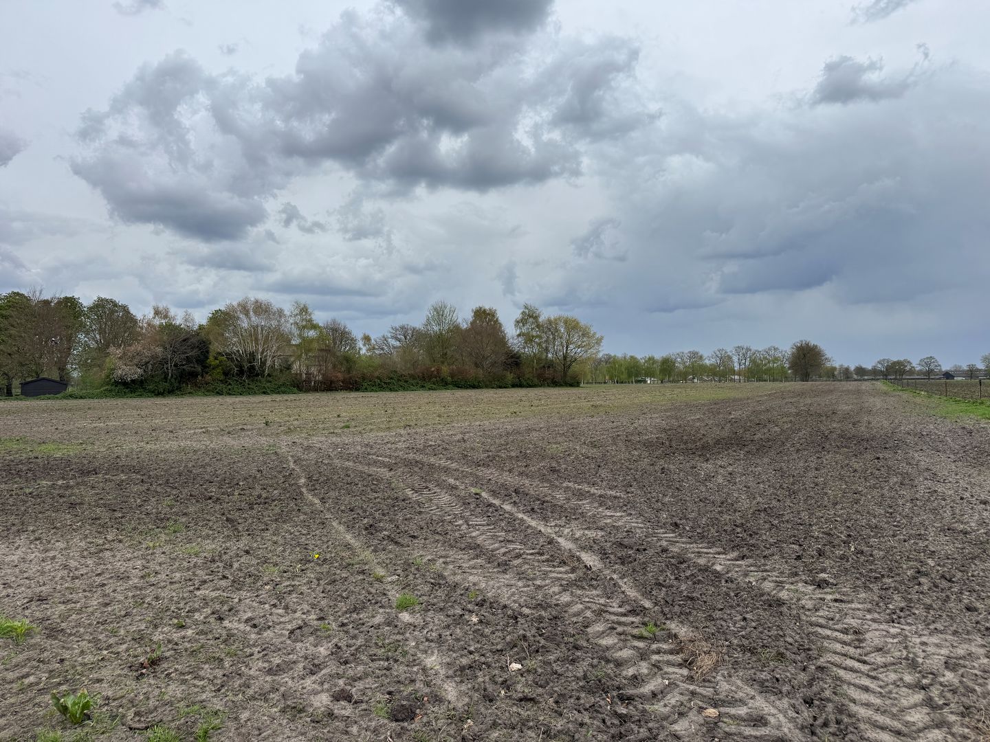 Laarweg - Harskamp - Afbeelding 7