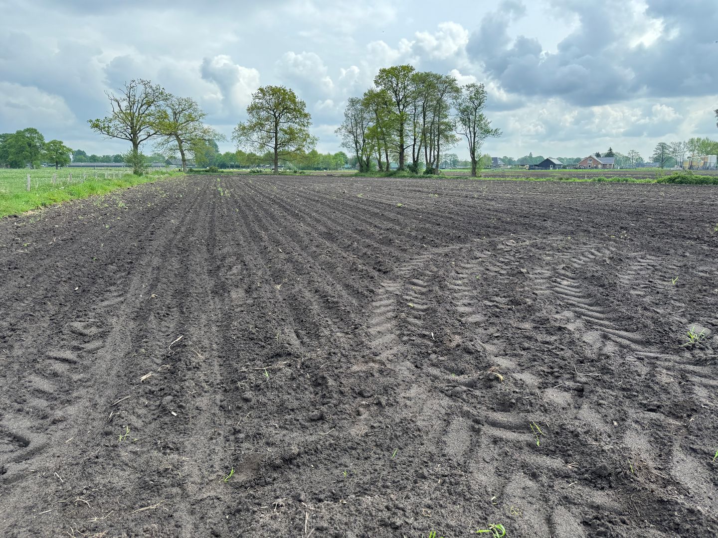 Bekijk foto 3 van Laarweg