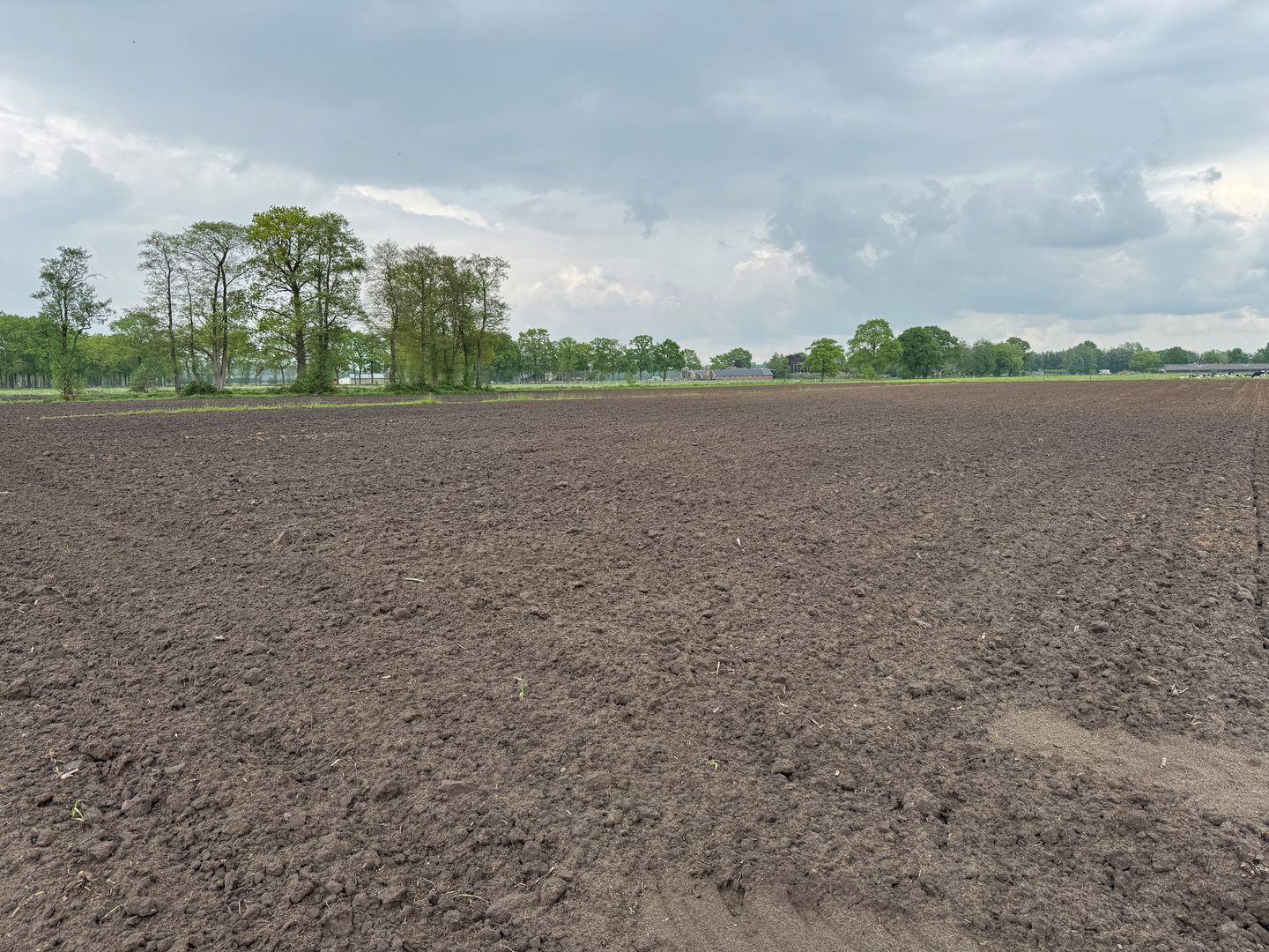 Bekijk foto 5 van Lange Heideweg