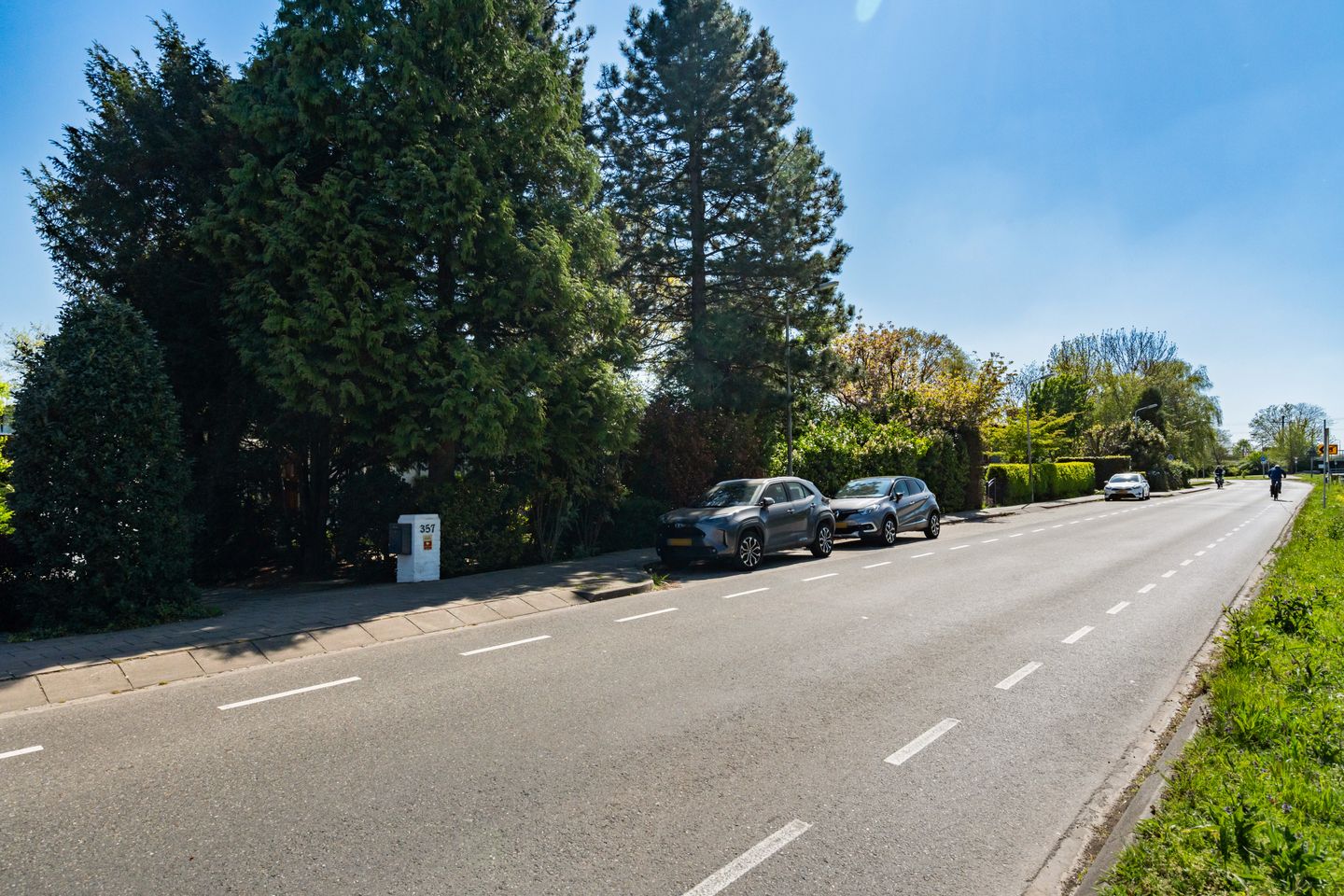 Photo 55 of Rodenrijseweg 357