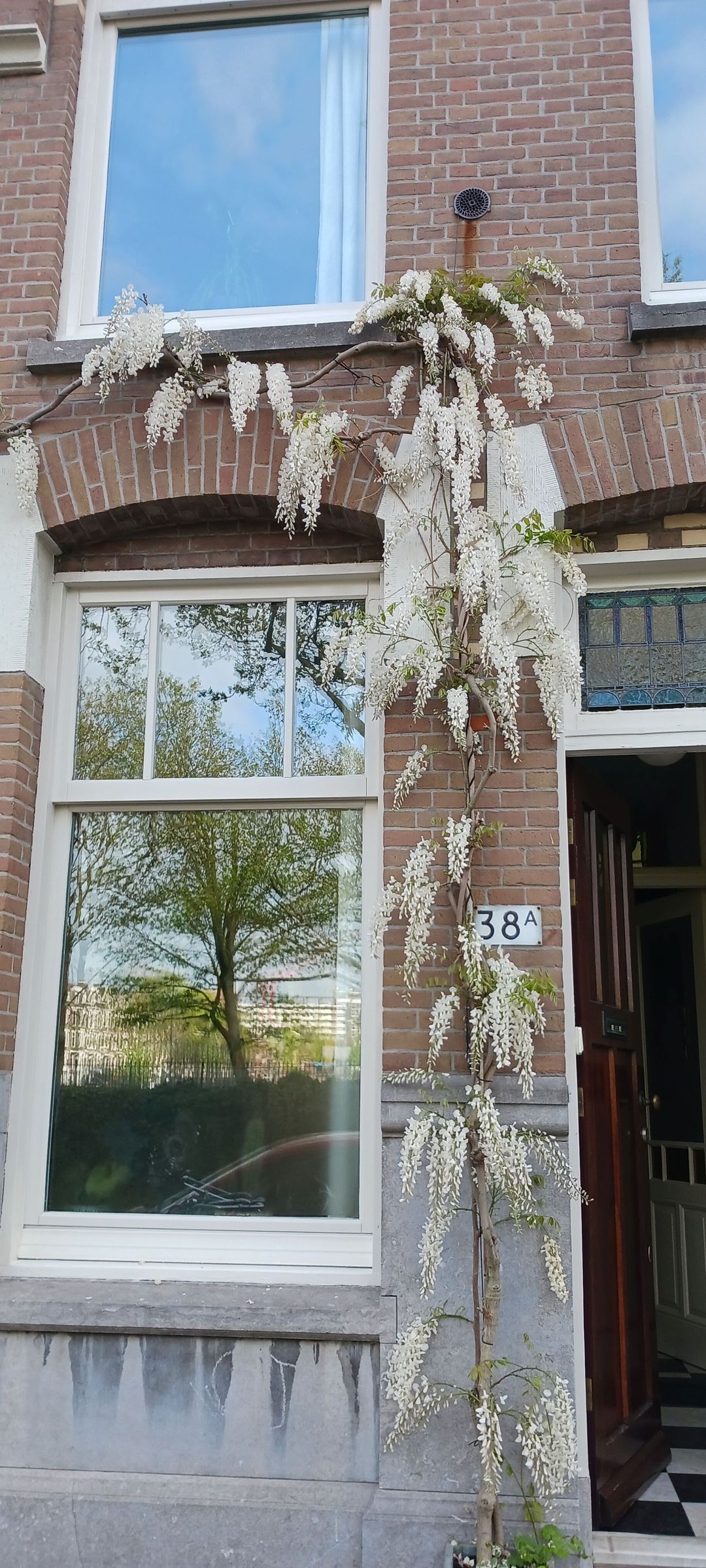 Photo 41 of Henegouwerlaan 38-A