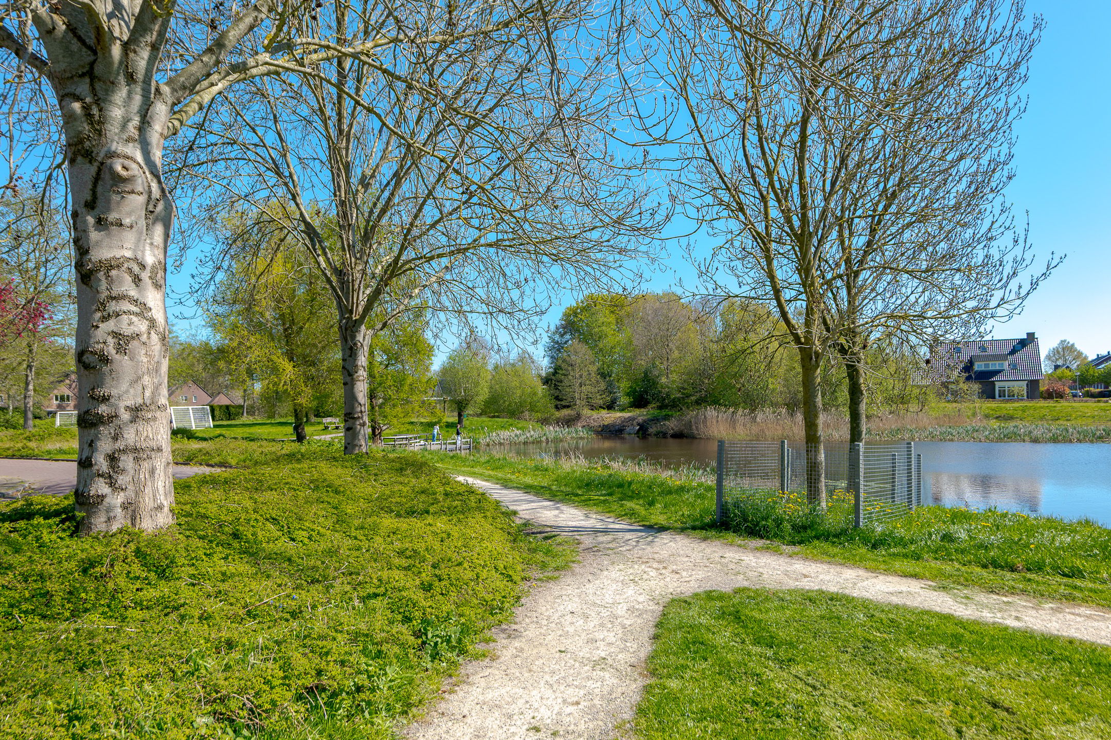 Photo 3 of Vogelwikke 28