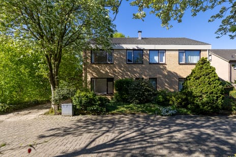 Bonifaciusstraat thumbnail