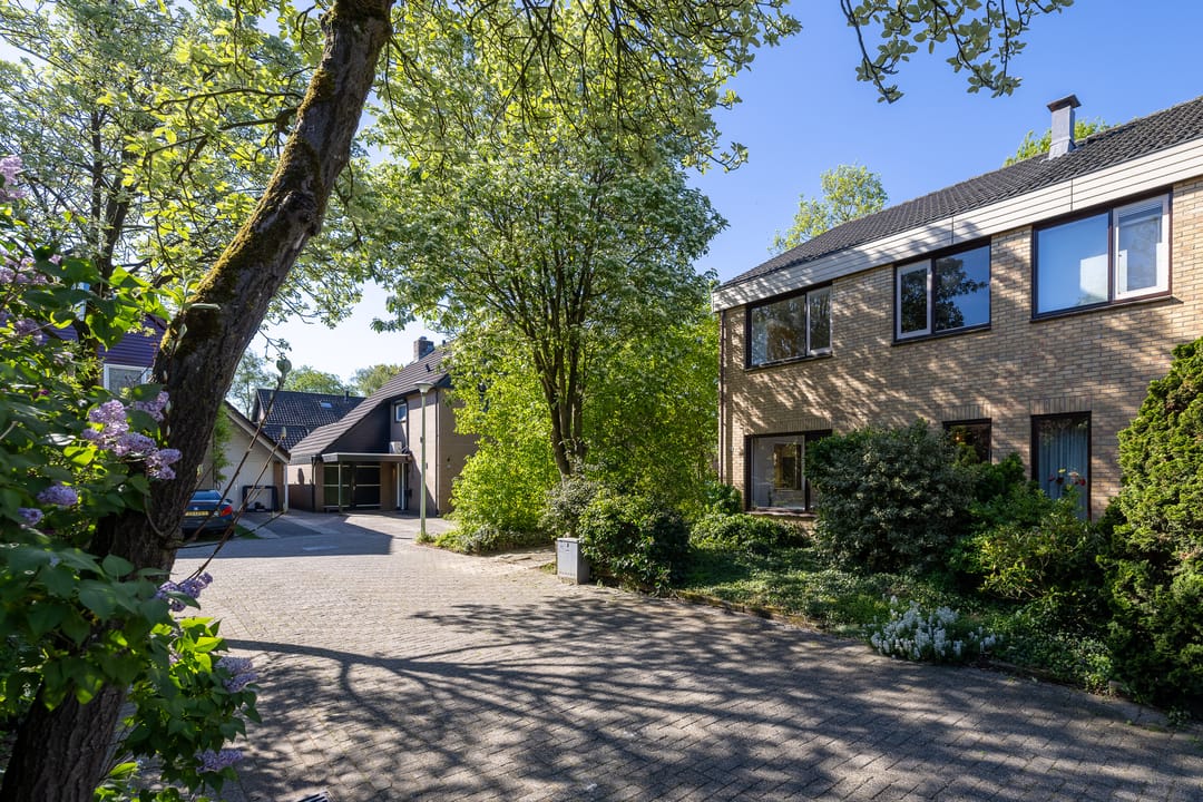 Foto 41 van Bonifaciusstraat 46
