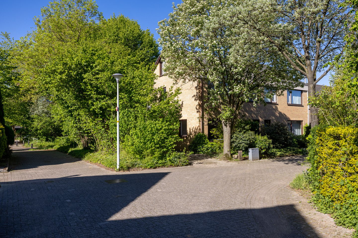 Foto 40 van Bonifaciusstraat 46