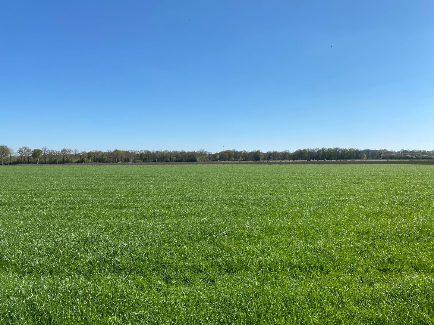 Anlooërweg - Anderen - Afbeelding 7