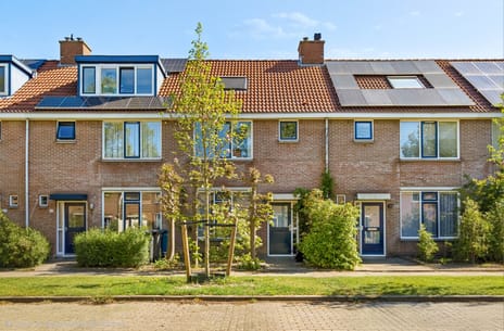 Florijnslag thumbnail
