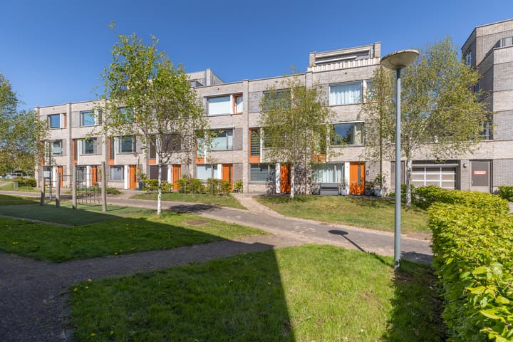 Photo 4 of Bosschaertpad 6