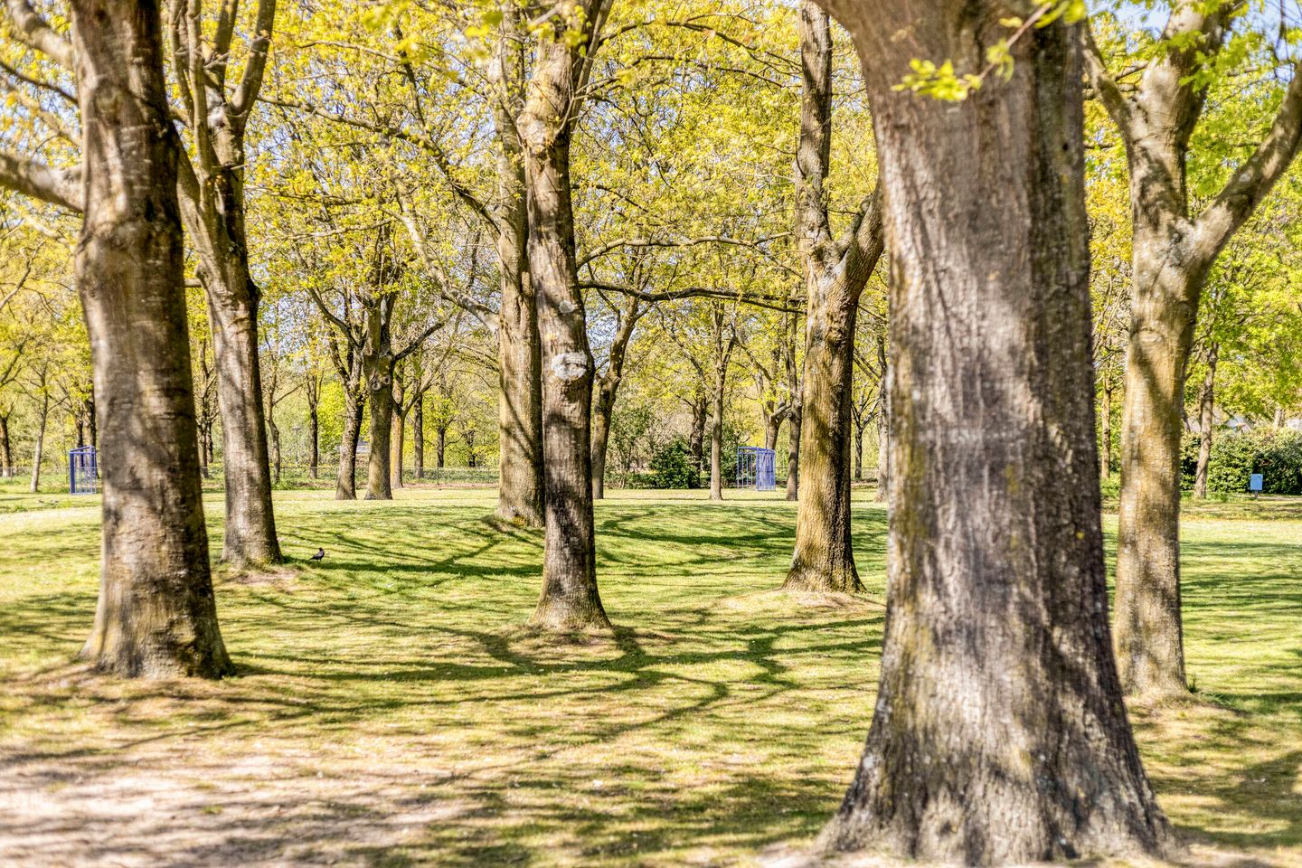Foto 34 van Roland Holstlaan 10