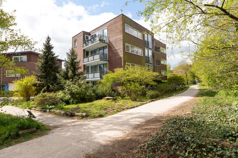 Erfgooiersstraat thumbnail