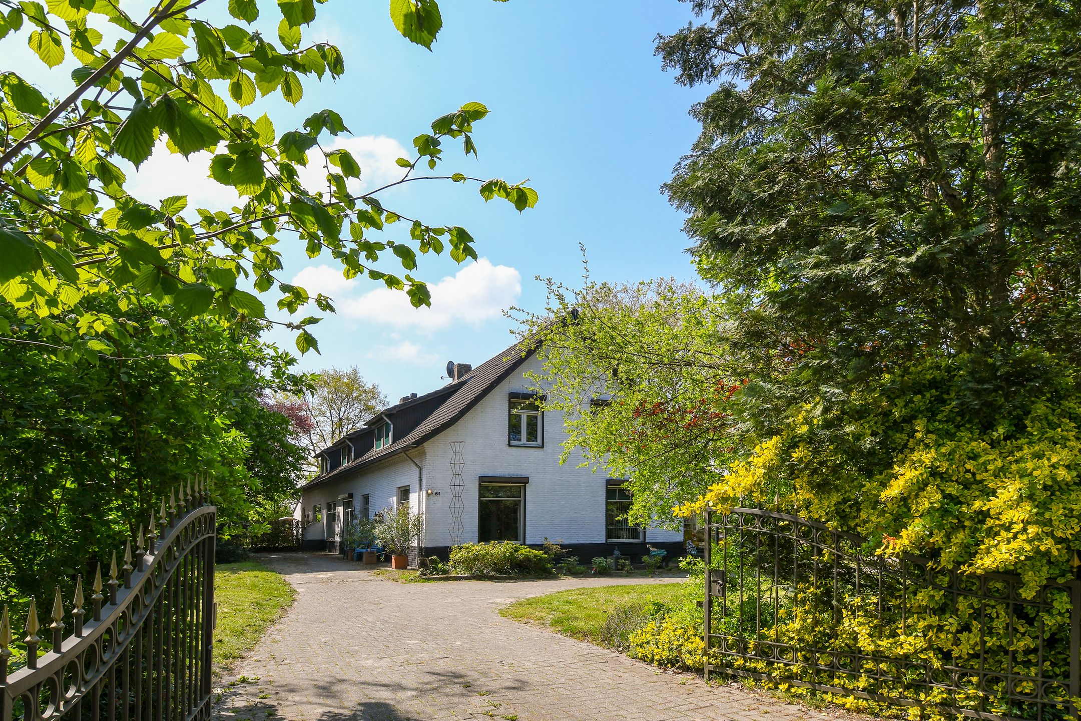 Geuzendijk 25 