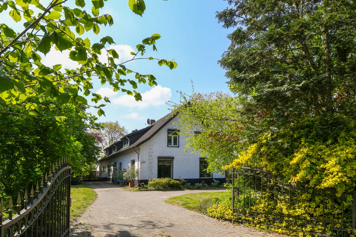 Geuzendijk 25