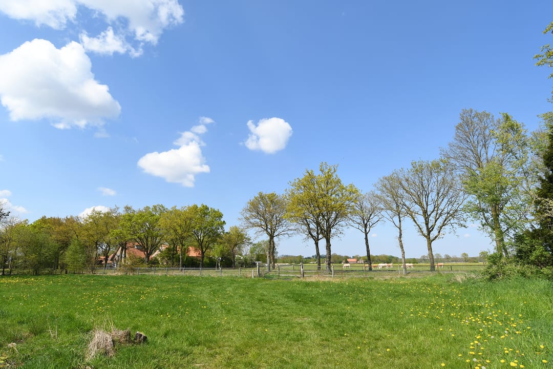 Foto 41 van Geuzendijk 25
