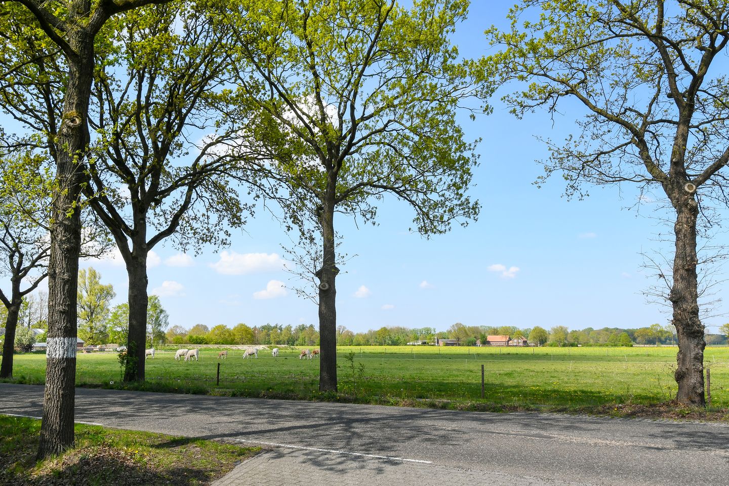 Foto 44 van Geuzendijk 25