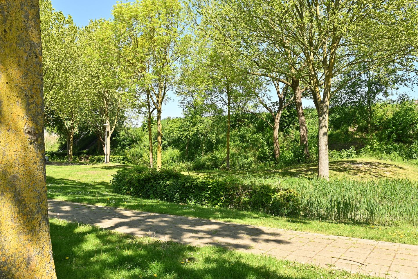 Photo 29 of Stelleweg 56