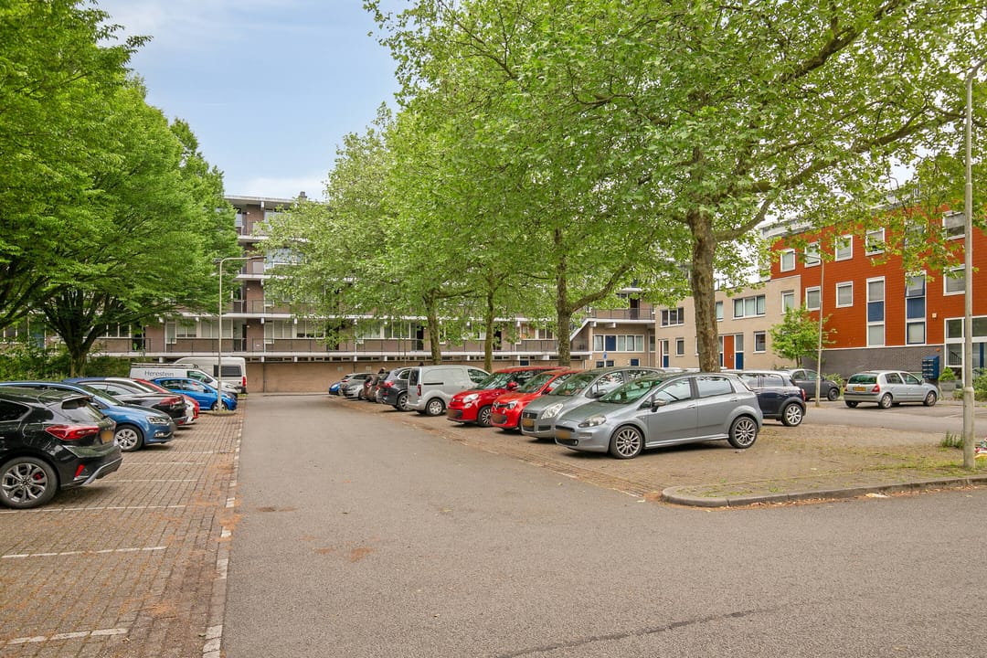 Photo 38 of Loplein 32