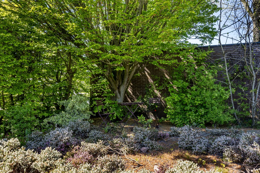 Foto 58 van Groendijksterzijl 4