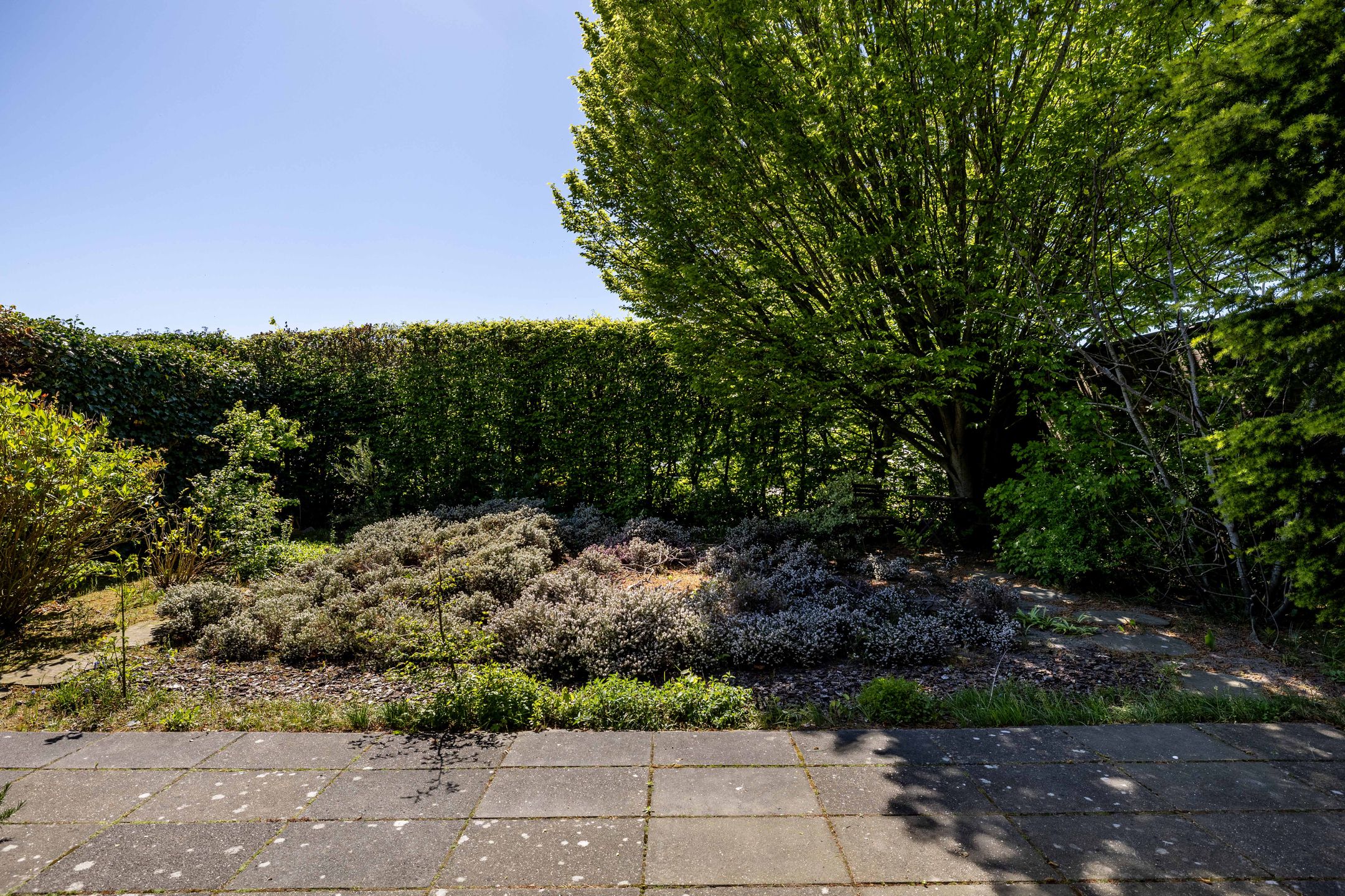 Foto 54 van Groendijksterzijl 4