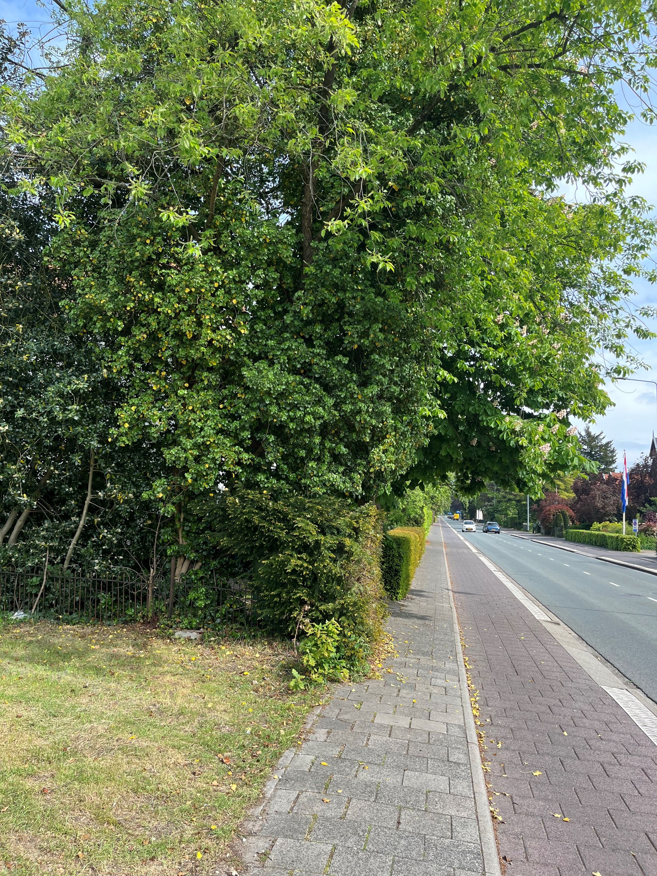 Photo 21 of Van Riebeeckweg 2-A