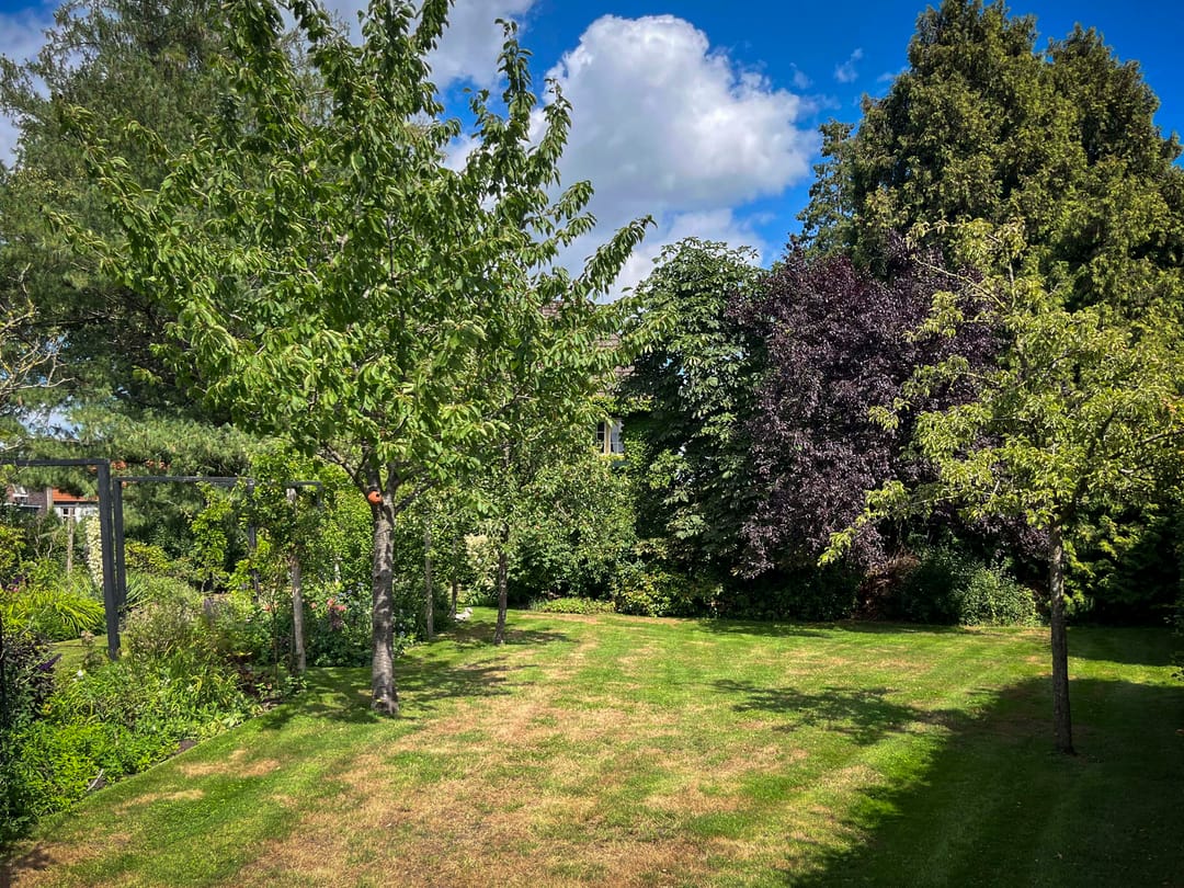 Villa Rozenhof - Characteristic 1930s Villa with Park Garden in Vorden — 56