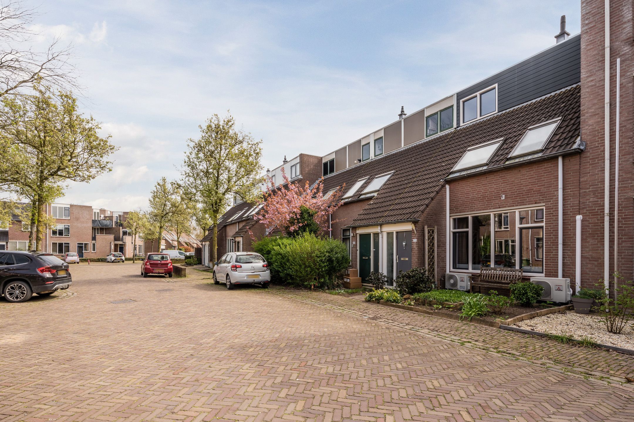 Photo 30 of Bereklauw 175