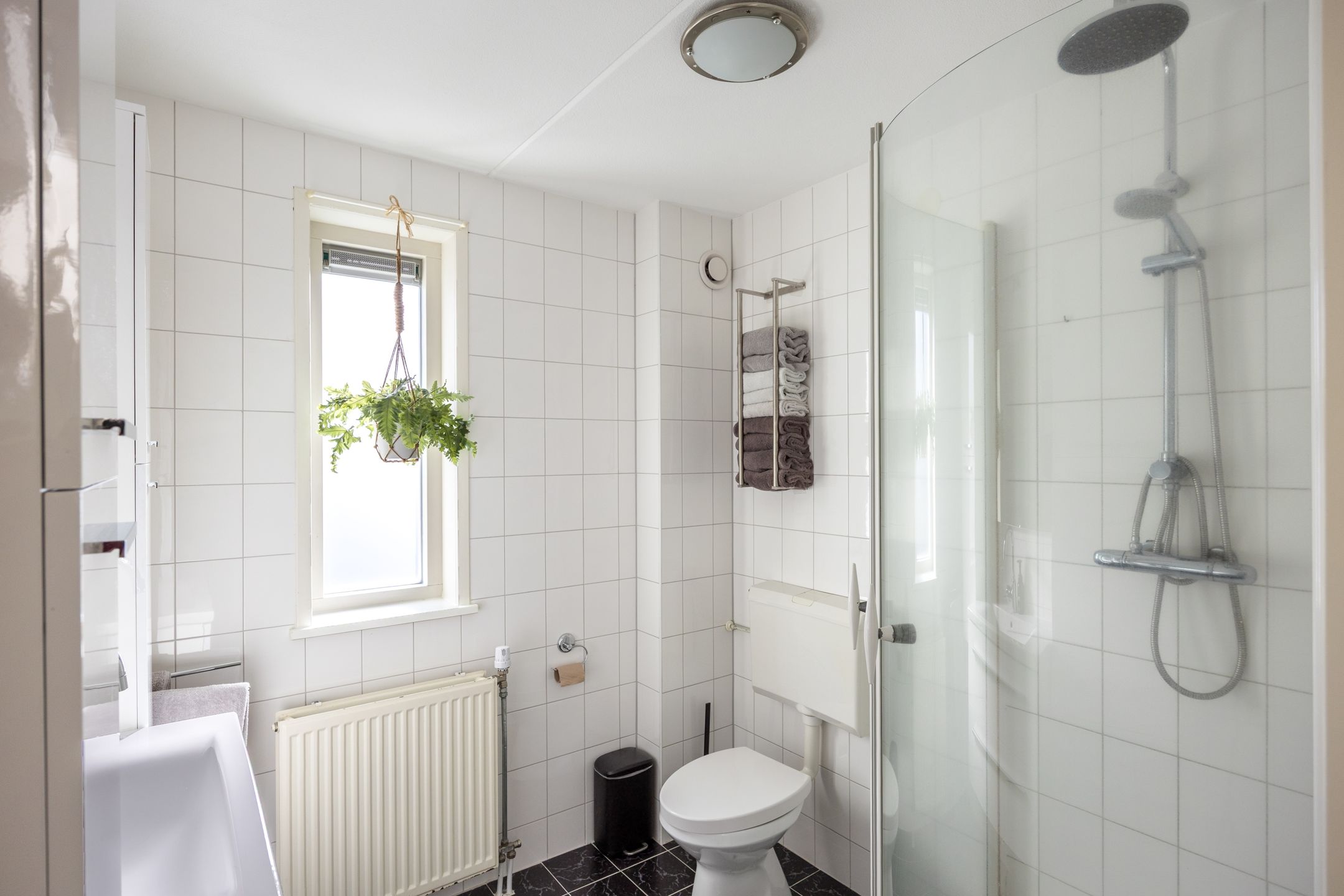 Foto 48 van Trambaan 3