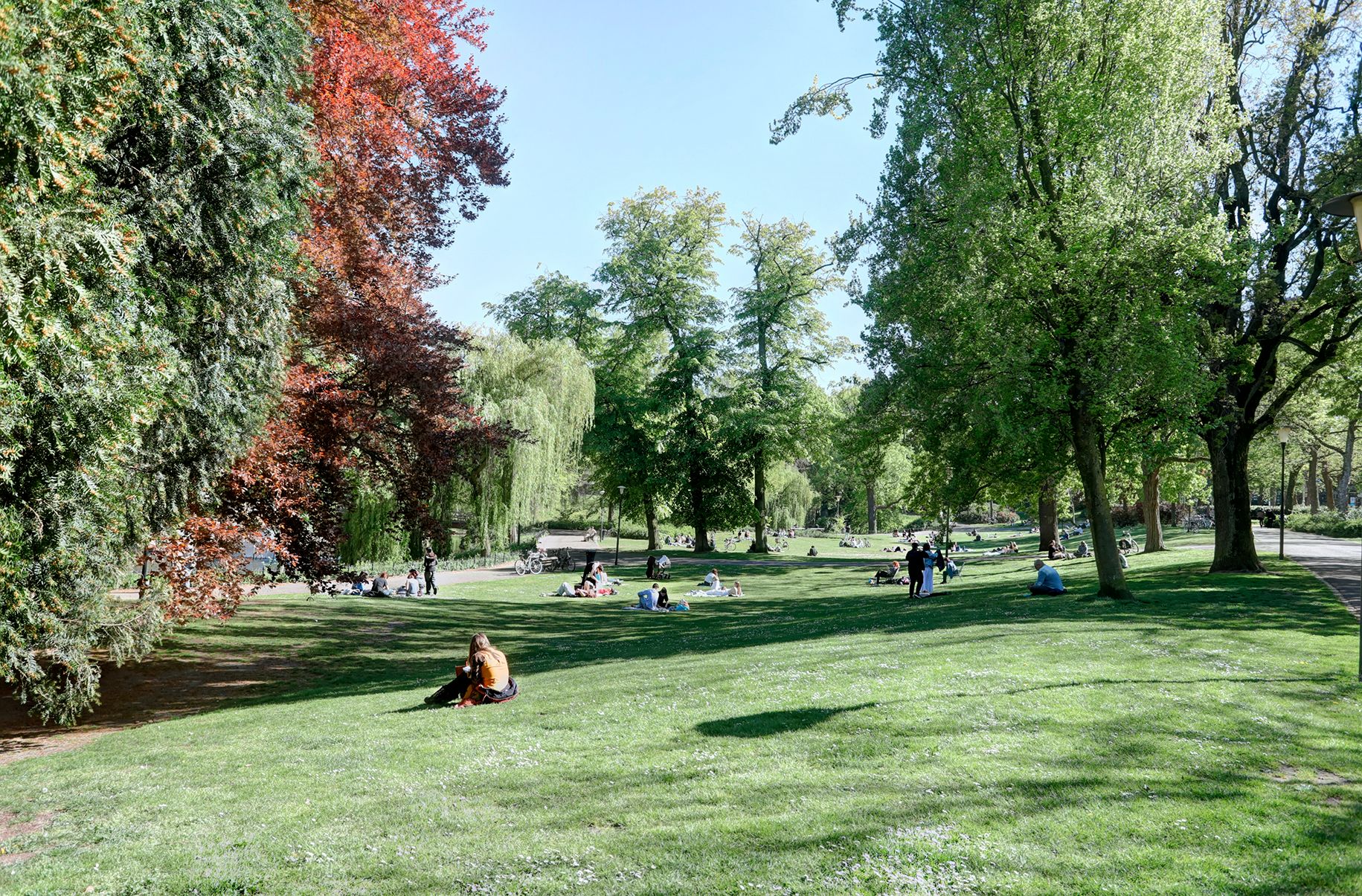 Photo 21 of Kronenburgersingel 295