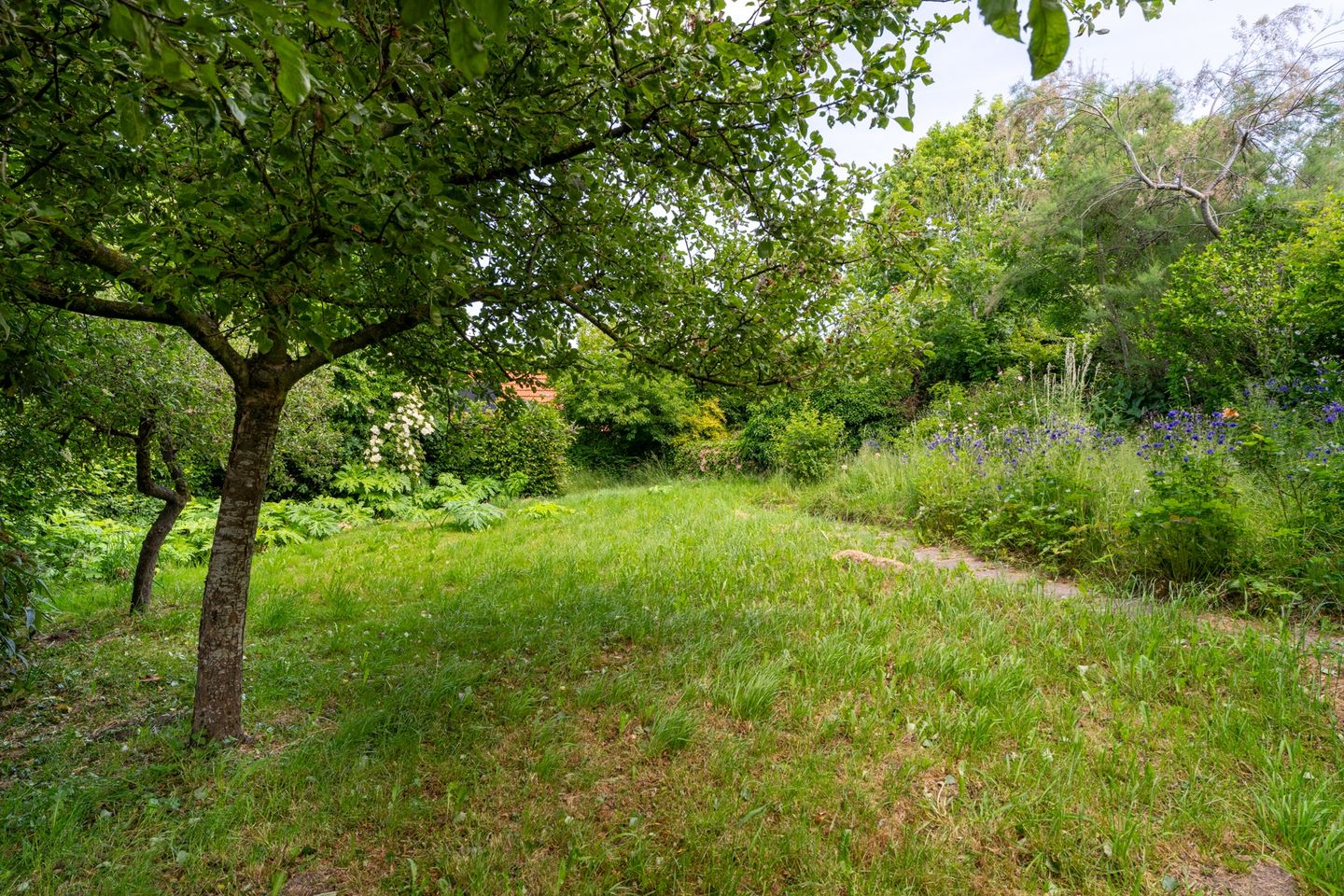 Photo 55 of Oude Zeedijk 7