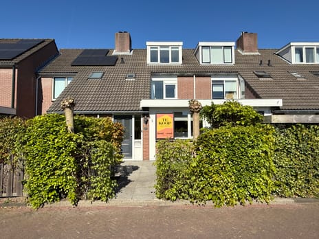 Witte de Withlaan thumbnail