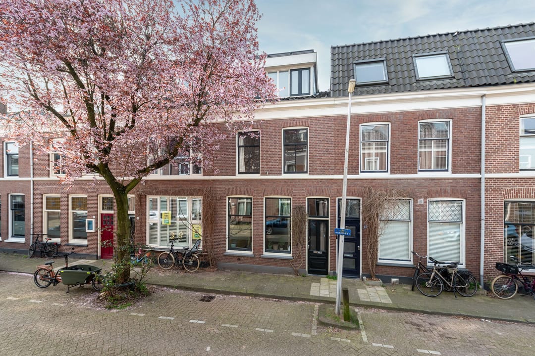 Foto 1 van Palmstraat 56