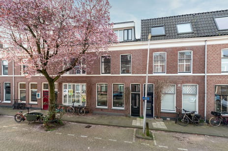 Palmstraat thumbnail