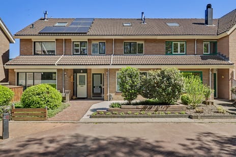 Zonnebloemlaan thumbnail
