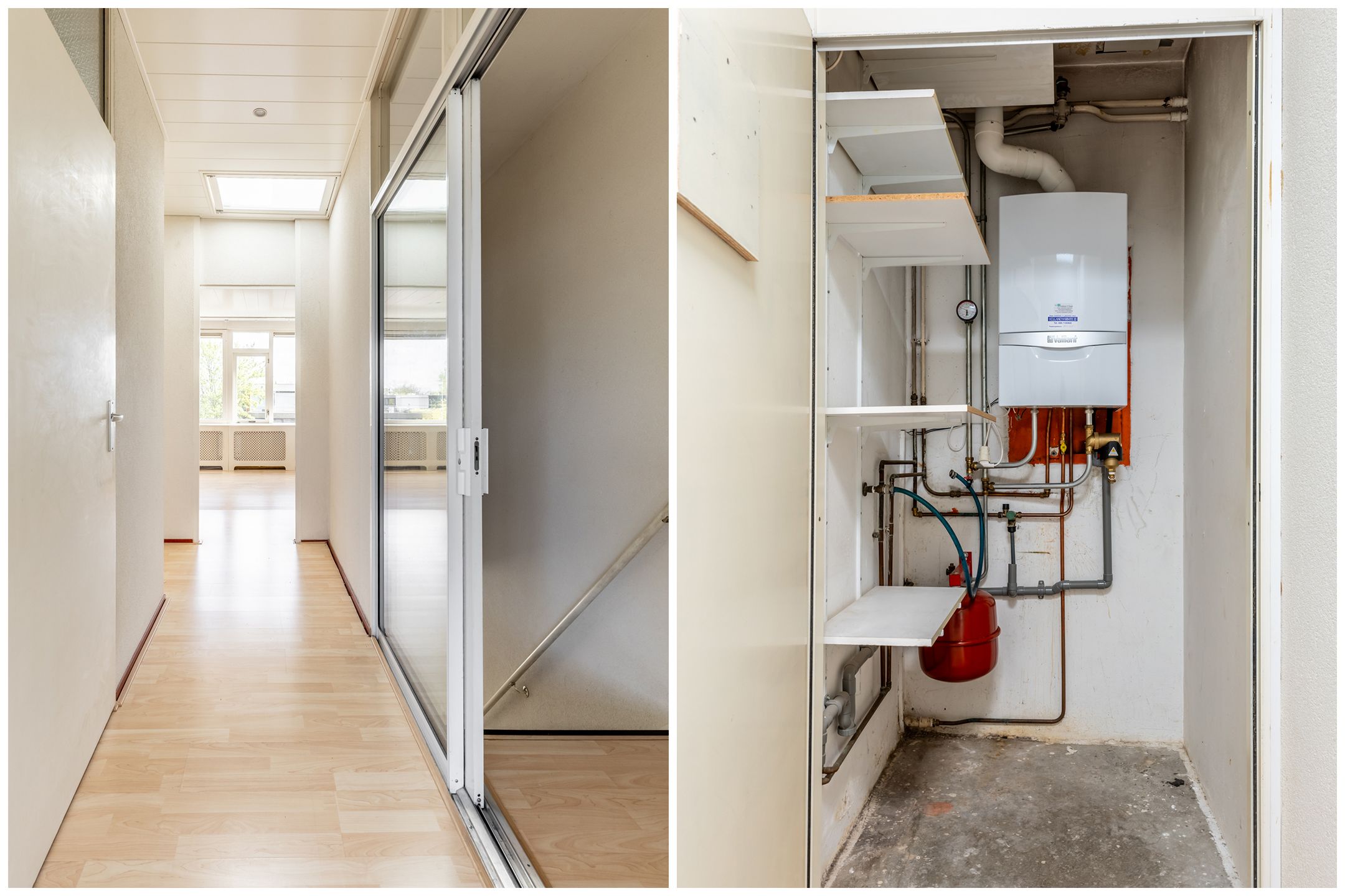 Foto 18 van Vederdistel 17