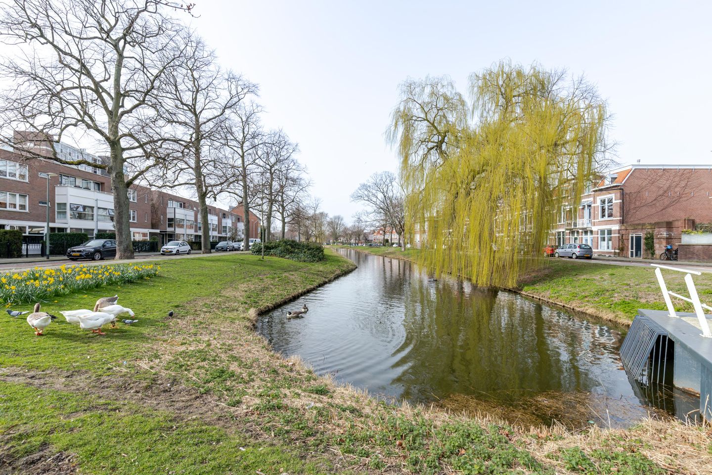 Photo 29 of Willemskade 199