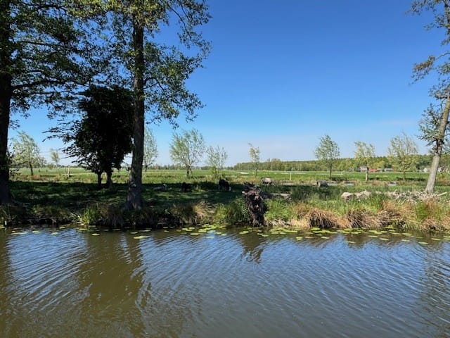 Foto 37 van Zwanenkamp 896