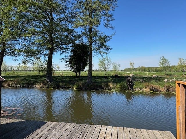 Foto 5 van Zwanenkamp 896