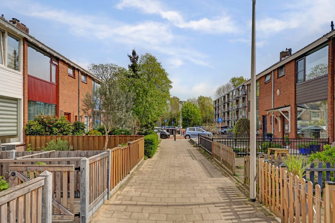 Foto 26 van Petuniapad 6