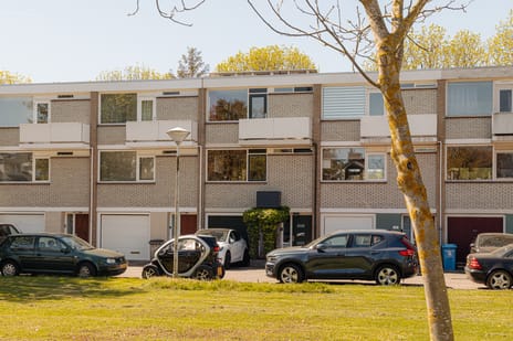 Van Polanenpark thumbnail